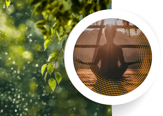 Dwarika Naturopathy & Wellness Centre